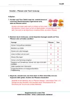 Vorschau - Arbeitsblätter - Korallen- Arbeitsblätter und Lösungen PDF - Seite 2