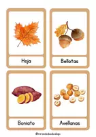 Vista previa - Unidades / Secuencias / Situaciones de Aprendizaje - Vocabulario de otoño - página 3