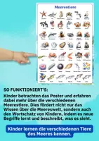 Vorschau - Poster - Lernposter „Meerestiere“ – 42 faszinierende Arten im Wasserfarbenstil für Kindergarten & Schule - Seite 1