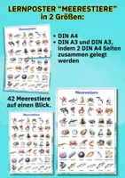 Vorschau - Poster - Lernposter „Meerestiere“ – 42 faszinierende Arten im Wasserfarbenstil für Kindergarten & Schule - Seite 3