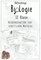 Vorschau - Präsentationen/Tafelbilder - Genetik: Neukombination genetischer Informationen | Biologie 12 | Hefteinträge - Deckblatt