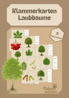 Vorschau - Stationenlernen - Laubbäume Klammerkarten in Druck- und Grundschrift - Deckblatt