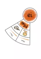 Vorschau - Fördermaterial/Inklusion - Legekreis Lesesynthese EI - Seite 1