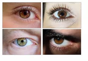 Vorschau - Bildkarten - 12 Fotos Augen Sinne Bilderkartei - Seite 3