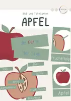 Vorschau - Präsentationen/Tafelbilder - Aufbau des Apfels - Tafelkarten - Deckblatt