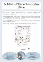 Vorschau - Arbeitsblätter - 5 Arbeitsblätter zu allen 5 Sinnen - inkl Tafelmaterial - Seite 1