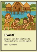 anteprima - Compiti in classe/Test - ES. ruolo palafitte nello sviluppo delle comunità agricole - Pagina di copertina