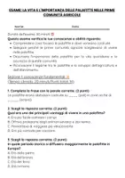 anteprima - Compiti in classe/Test - ES. ruolo palafitte nello sviluppo delle comunità agricole - Pagina 1