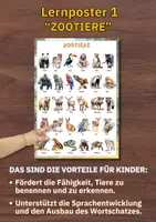 Vorschau - Poster - Zootiere Poster für Kita & Vorschule – 2 Lernposter mit 60 Tieren im Wasserfarbenstil (PDF) - Seite 1