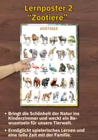 Vorschau - Poster - Zootiere Poster für Kita & Vorschule – 2 Lernposter mit 60 Tieren im Wasserfarbenstil (PDF) - Seite 2