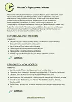 Vorschau - selbst erstellte Cliparts/Grafiken - Nature´s Superpower: Moore - Seite 1