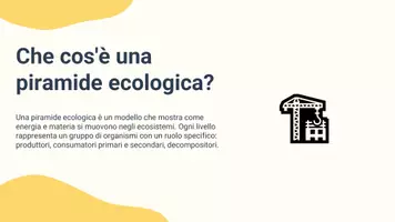 anteprima - Presentazioni / Lavagne - Analizzare il flusso di energia e materia attraverso la piramide ecologica - Pagina 2
