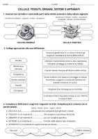 anteprima - Compiti in classe/Test - Verifica: Cellule, tessuti, organi, sistemi e apparati - Pagina di copertina