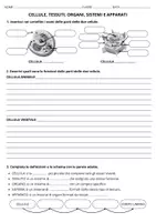 anteprima - Compiti in classe/Test - Verifica: Cellule, tessuti, organi, sistemi e apparati - Pagina 1