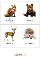 anteprima - Flashcard - Carte nomenclature Montessori - autunno - Pagina 2