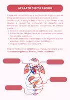 Vista previa - Unidades / Secuencias / Situaciones de Aprendizaje - CUERPO HUMANO - página 2