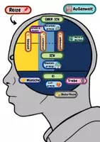 Vorschau - Spiele - Instanzenpuzzle zu Sigmund Freud - Pädagogik Q1 - Seite 1