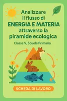 anteprima - Esercizi - Analizzare il flusso di energia e materia attraverso la piramide ecologica - Pagina di copertina