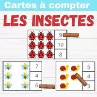 Aperçu - Matériel pour travaux manuels / dessin - Les insectes 5 dossiers d'activités - Page de couverture