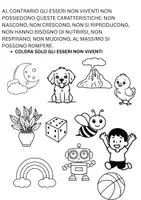 anteprima - Esercizi - ESSERI VIVENTI E NON VIVENTI - Pagina 2
