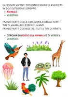 anteprima - Esercizi - ESSERI VIVENTI E NON VIVENTI - Pagina 3
