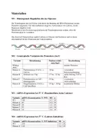 Vorschau - Klassenarbeiten - Biologieklausur: Genetik, lac-Operon, Regulation im Promotor - Seite 1