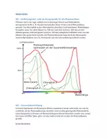 Vorschau - Klassenarbeiten - Klausur: Photosynthese, Lichtfarbe - Seite 1
