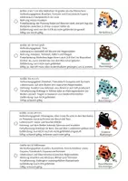 Vorschau - Stationenlernen - Lernfächer 11 Froscharten zum Basteln & Raten - Seite 2