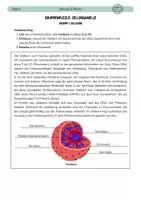 Vorschau - Arbeitsblätter - Gruppenpuzzle: Zellorganelle - Deckblatt