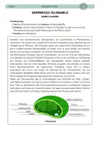 Vorschau - Arbeitsblätter - Gruppenpuzzle: Zellorganelle - Seite 2