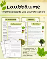Vorschau - Stundenentwürfe - Laubbäume – Informationstexte & Baumsteckbriefe - Deckblatt