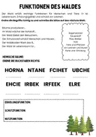 Vorschau - Arbeitsblätter - Mein Wald- und Baumwissen - Seite 2