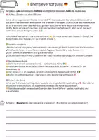 Vorschau - Arbeitsblätter - Energieversorgung in DE - Politik, Klasse 10, Gruppenpuzzle - Seite 2