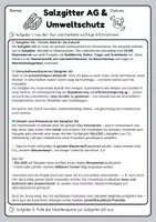 Vorschau - Arbeitsblätter - VW&Salzgitter AG (deutsche Unternehmen) und Maßnahmen zum Umweltschutz - Seite 1