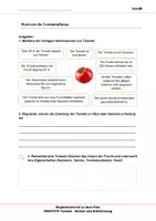 Vorschau - Arbeitsblätter - Tomaten - Arbeitsblätter und Lösungen PDF - Seite 3