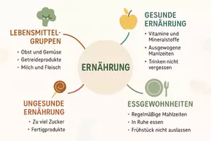 Vorschau - Arbeitsblätter - AB mit Fragen zum Thema "Ernährung" + Lösungsblatt + Mindmap + Infografik - Seite 2