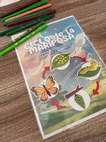 Vista previa - Tarjetas / Manipulativos - Pack de actividades montessori de los insectos | tarjetas | clasificacion | libro educativo - página 1