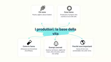 anteprima - Presentazioni / Lavagne - Definire i ruoli di produttori, consumatori e decompositori in una catena trofica - Pagina 3
