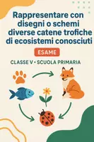 anteprima - Compiti in classe/Test - Esame: Rappresentare con disegni o schemi diverse catene trofiche di ecosistemi conosciuti - Pagina di copertina
