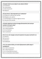 anteprima - Esercizi - Rappresentare con disegni o schemi diverse catene trofiche di ecosistemi conosciuti - Pagina 2