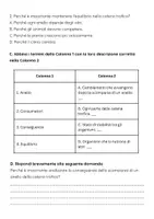 anteprima - Compiti in classe/Test - Esame: Analizzare le conseguenze della scomparsa di un anello della catena trofica - Pagina 2