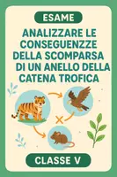 anteprima - Compiti in classe/Test - Esame: Analizzare le conseguenze della scomparsa di un anello della catena trofica - Pagina di copertina