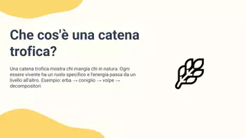 anteprima - Presentazioni / Lavagne - Analizzare le conseguenze della scomparsa di un anello della catena trofica - Pagina 2
