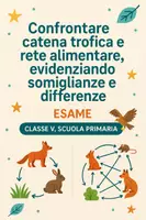anteprima - Compiti in classe/Test - Esame: Confrontare catena trofica e rete alimentare, evidenziando somiglianze e differenze - Pagina di copertina