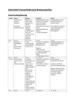Vorschau - Stundenentwürfe - Lehrmittel über das Fasnachtsbrauchtum Brotauswerfen 3. bis 4 Klasse - Seite 1