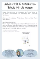 Vorschau - Arbeitsblätter - AB und Tafelkarten Schutz für die Augen - Seite 1