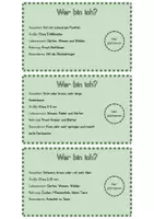 Vorschau - Bildkarten - Insekten Quiz Karten zum Legen mit Plastikfiguren - Seite 2