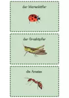Vorschau - Bildkarten - Insekten Quiz Karten zum Legen mit Plastikfiguren - Seite 3
