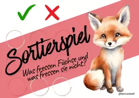 Vorschau - Spiele - Ein Sortierspiel zum Thema Fuchs - Deckblatt
