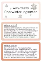 Vorschau - Stundenentwürfe - Lernwerkstatt Tiere im Winter 2./3. Klasse (2-fach differenziert) - Seite 2